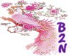 B2N-Pink Peacock
