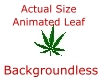 Animated Leaf  (Sticker)
