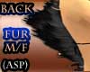 ASP)Black Back Fur M/F
