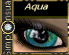 SS EWindows~Aqua