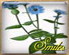 flowerfield zinnia blue