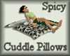 [my]Spicy Cuddle Pillows