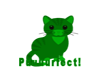 Green Kitten Sticker