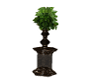 Choco Pillar with plant