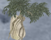 Tree Fantasy