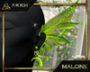 AK Varsha Ear