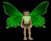 Green Wings Avi