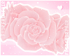 F. Rose Crown Pinku