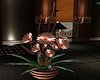 (PT) CABO Flower Pot
