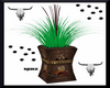 COUNTRY CLUB PLANT