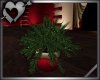 *Valentines  Planter 5