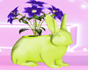 Bunny Flowers♡