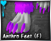 D~Anthro Ft: (F) Purple