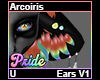 Arcoiris Ears V1