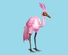 Pretty  Flamingo