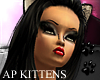 AP Kitten Brighid20