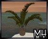 [MH] TR Palm
