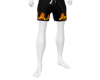 trashers shorts sport