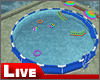 !live-Swimming Pool