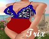 Star Spangled Swimsuit 2