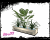 B/W PVT Club Plant  v2