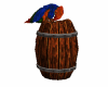 parrot on a barrell