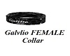 Galvlio FEMALE Collar