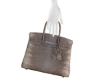 Birk lizard warm