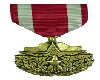 Army Merit Medal