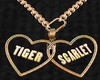 Tiger&Scarlet Collar H