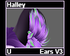 Halley Ears V3