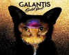 galantis gold8/gold13