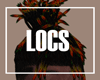 TC ∥ Locs 02