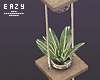 µ | Plants in Jars