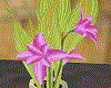 Pink Lilies in Planter