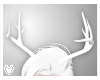 ♥ Antlers .White