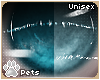 [Pets] Naui | eyes 2-T