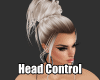 sw Head Control
