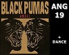 BLUES + F/M d ANG 19