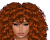 CURLY AFRO GINGER 2