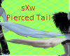 pierced tail M/F