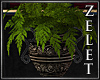|LZ|Ballroom Plant