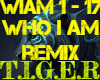 Who I Am Remix