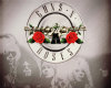 Guns n' Roses Frame