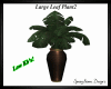 Large Leaf Plant V2