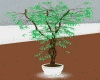 SM Animated Green Tree