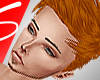 S. D1 Ginger