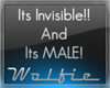 Invisible Male Avatar