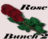 Rose Bunch 2 STKR