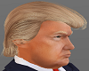 H/Donald Trump Hair